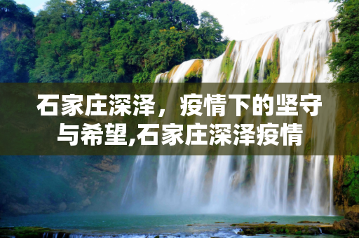 石家庄深泽，疫情下的坚守与希望,石家庄深泽疫情