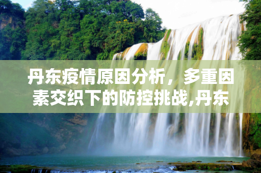 丹东疫情原因分析，多重因素交织下的防控挑战,丹东疫情原因