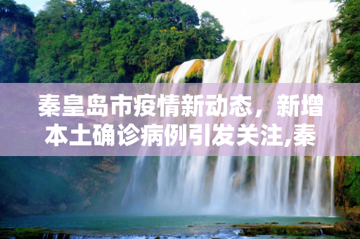 秦皇岛市疫情新动态，新增本土确诊病例引发关注,秦皇岛新增本土确诊