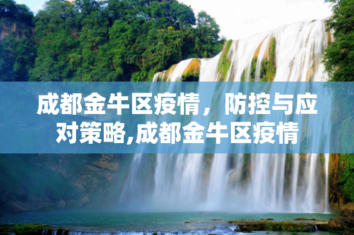 成都金牛区疫情，防控与应对策略,成都金牛区疫情