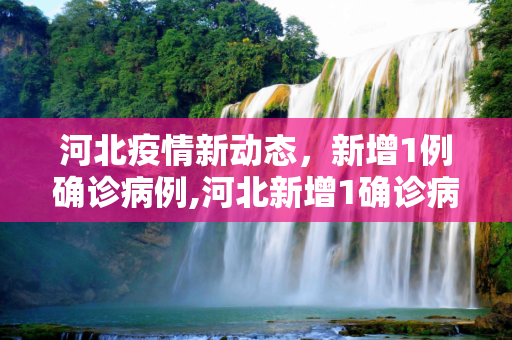 河北疫情新动态，新增1例确诊病例,河北新增1确诊病例