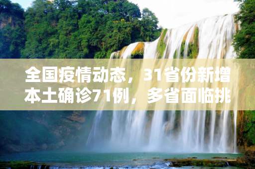 全国疫情动态，31省份新增本土确诊71例，多省面临挑战,31省份新增本土确诊71例分布多省