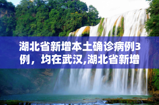 湖北省新增本土确诊病例3例，均在武汉,湖北省新增本土确诊病例3例 均在武汉