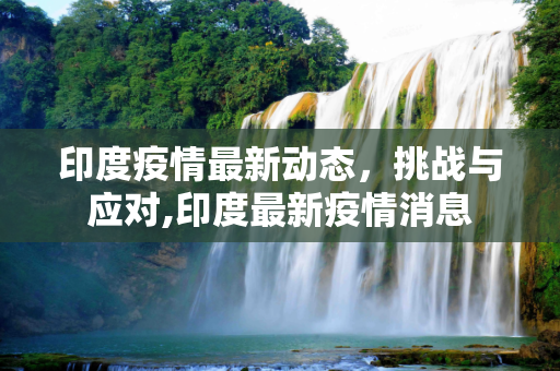印度疫情最新动态，挑战与应对,印度最新疫情消息