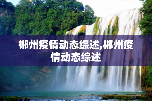郴州疫情动态综述,郴州疫情动态综述