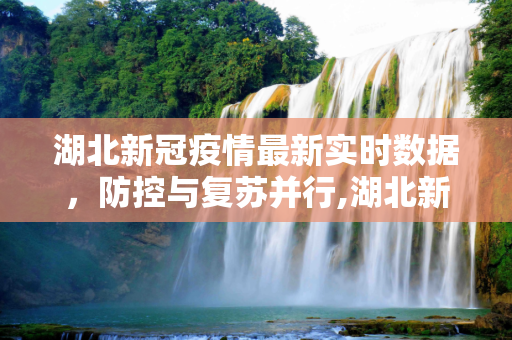 湖北新冠疫情最新实时数据，防控与复苏并行,湖北新冠疫情最新实时数据