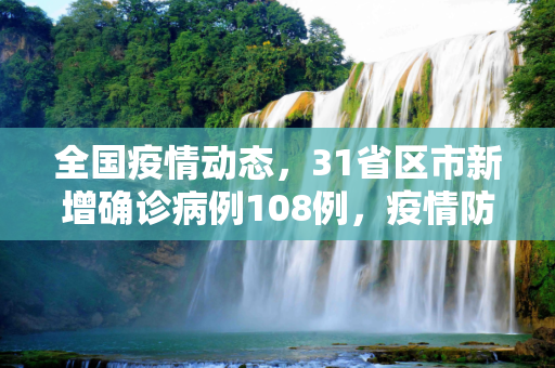 全国疫情动态，31省区市新增确诊病例108例，疫情防控形势严峻,31省区市新增确诊病例108例