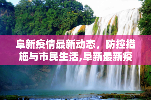 阜新疫情最新动态，防控措施与市民生活,阜新最新疫情情况