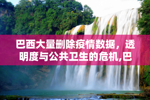 巴西大量删除疫情数据，透明度与公共卫生的危机,巴西大量删除疫情数据