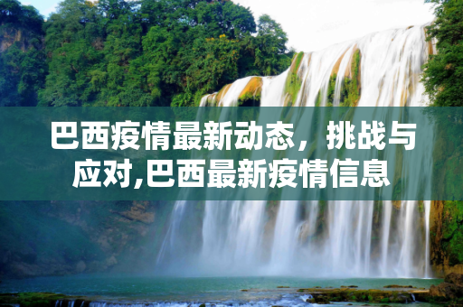 巴西疫情最新动态，挑战与应对,巴西最新疫情信息