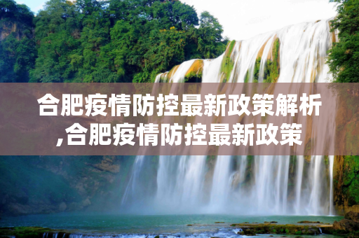 合肥疫情防控最新政策解析,合肥疫情防控最新政策
