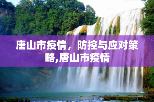 唐山市疫情，防控与应对策略,唐山市疫情