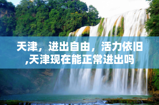 天津，进出自由，活力依旧,天津现在能正常进出吗
