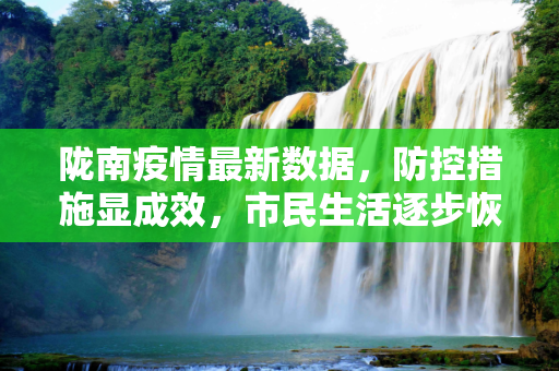 陇南疫情最新数据，防控措施显成效，市民生活逐步恢复,陇南疫情最新数据