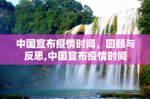 中国宣布疫情时间，回顾与反思,中国宣布疫情时间