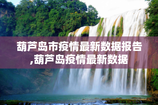 葫芦岛市疫情最新数据报告,葫芦岛疫情最新数据